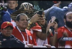 世界杯的吃瓜群众,吃瓜群众的观赛盛宴