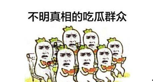 吃瓜群众被报警怎么办啊,应对指南解析