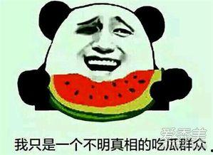 吃瓜群众尬笑摸头什么意思,揭秘网络流行语背后的趣味与内涵
