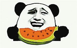 柚子吃瓜群众视频大全,揭秘热门视频背后的趣味故事