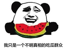 吃瓜群众上网,围观背后的社会心理